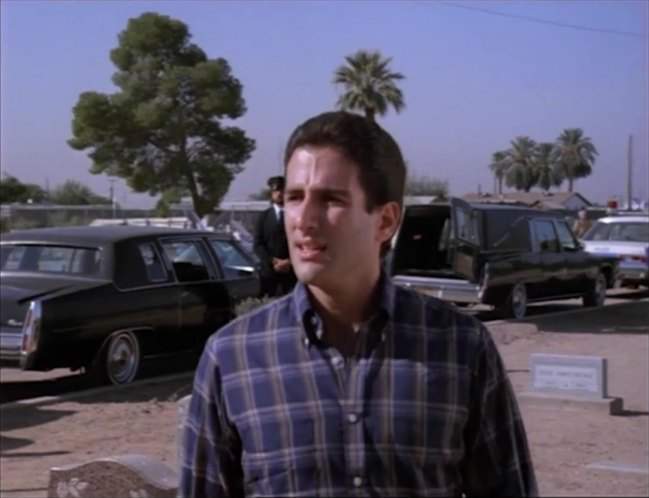 Cadillac Fleetwood Limousine