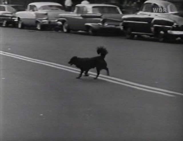 Ford Fairlane 500 Galaxie