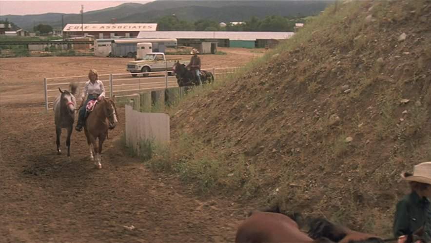 Chevrolet C/K-Series