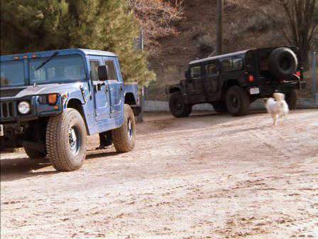 Hummer 