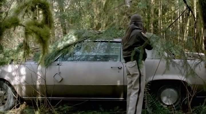 Cadillac Fleetwood Eldorado