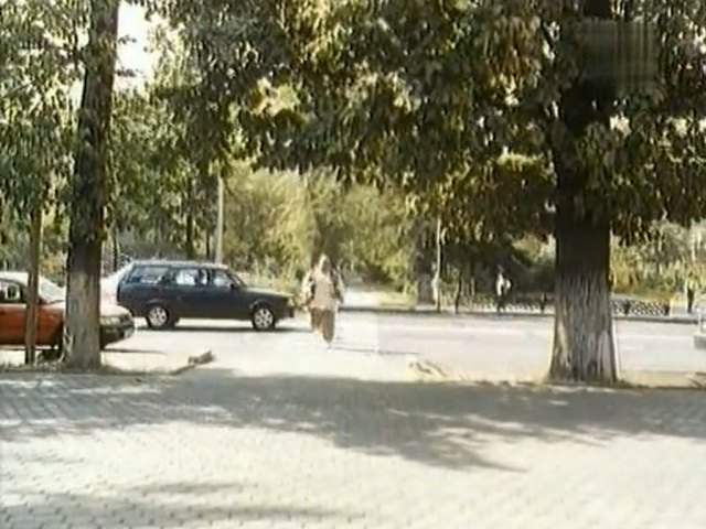 Tofaş Kartal