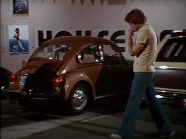 Volkswagen Super Beetle