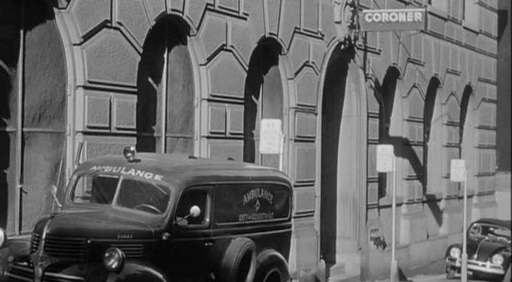 Dodge Panel