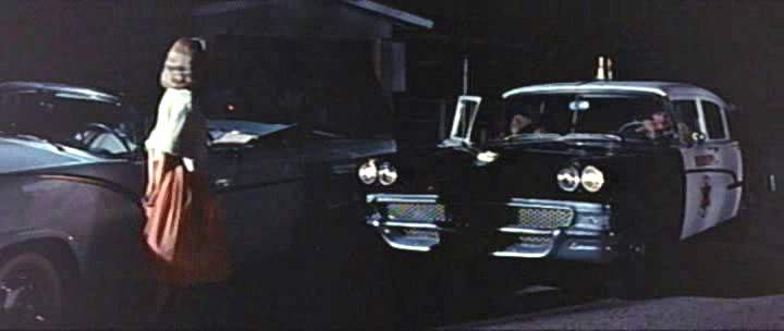 Ford Custom 300