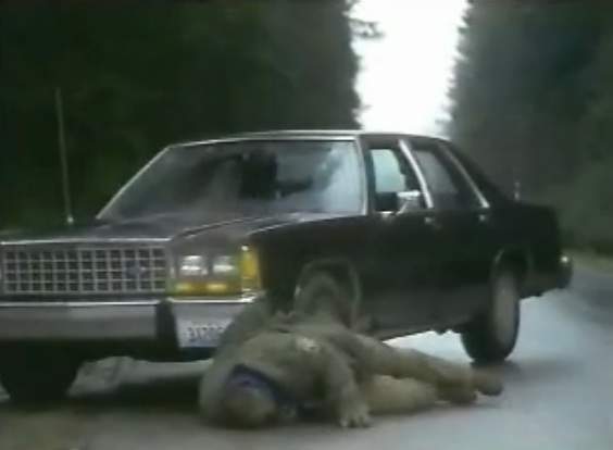 Ford LTD Crown Victoria