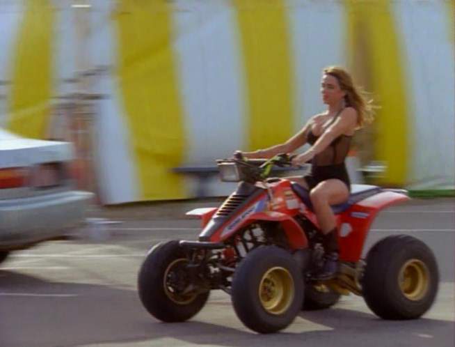 Suzuki Quadsport 230