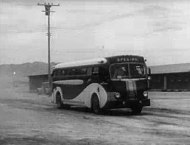 Yellow Coach 743