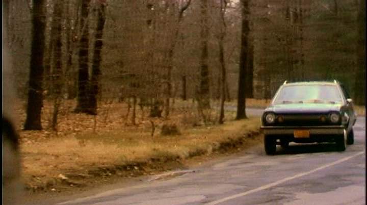 AMC Hornet Sportabout