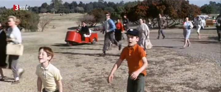 Cushman Golfster
