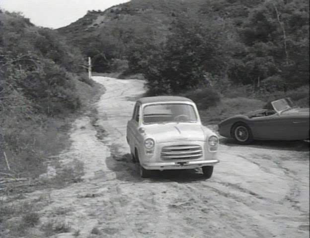 Austin-Healey 100/4