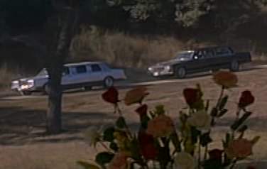 Cadillac Fleetwood Brougham Stretched Limousine