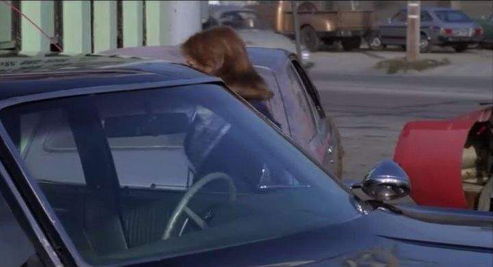 Toyota Corolla Liftback