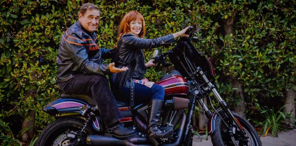 Harley-Davidson FXDL Dyna Low Rider