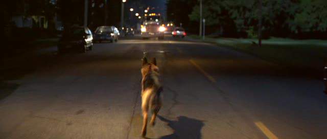 International 9000-Series