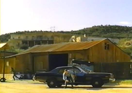 Dodge Monaco