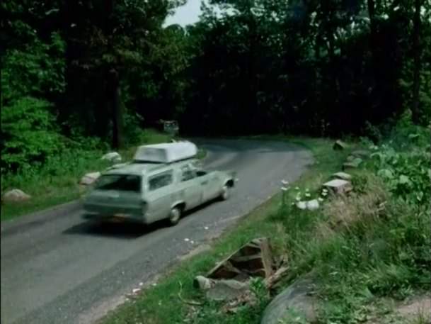 AMC Rebel Cross Country