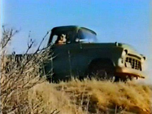 Chevrolet 3100