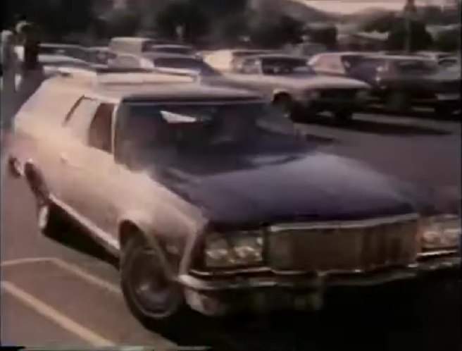 Ford Gran Torino Squire