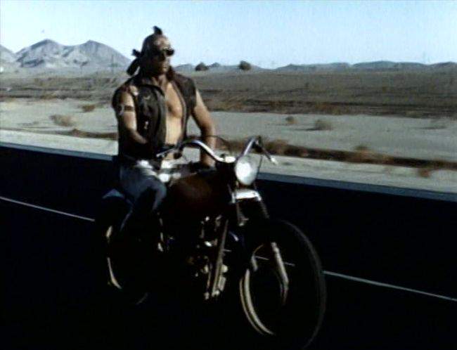 Triumph unknown