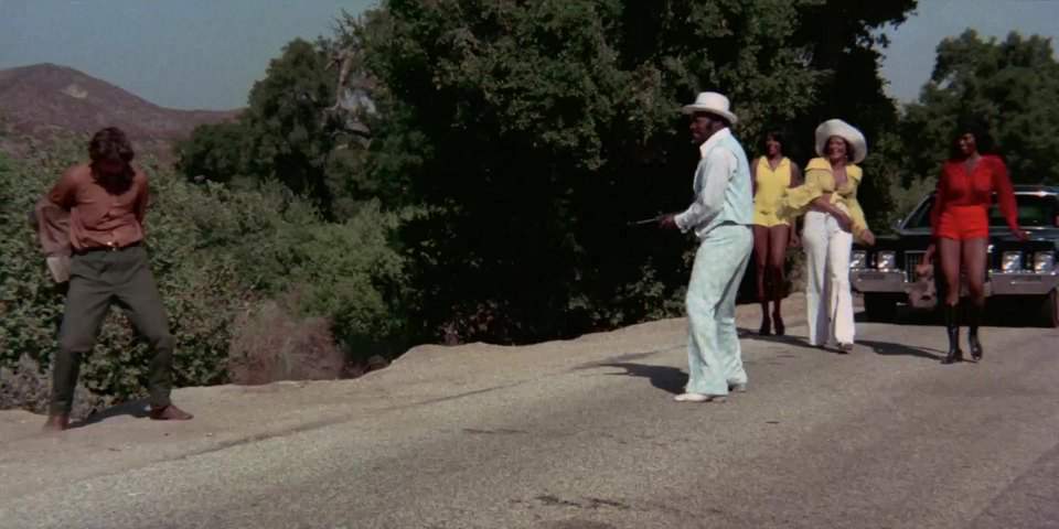 Cadillac Fleetwood 75