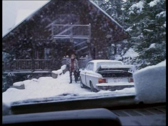 Volvo 244
