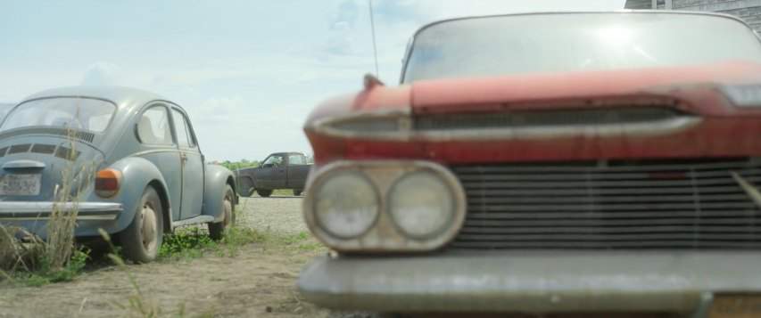 Volkswagen Basic Beetle