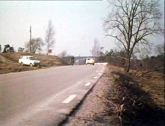 DAF Daffodil