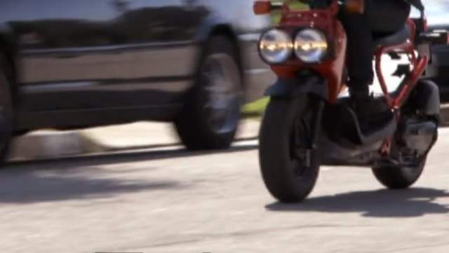 Honda Ruckus