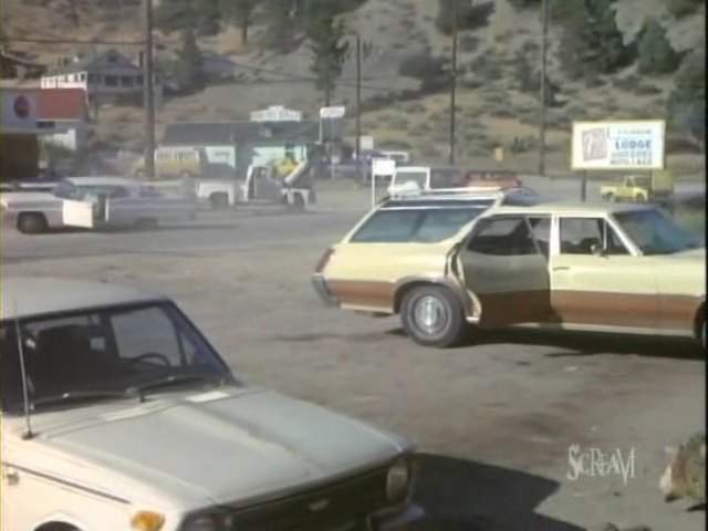 Oldsmobile Vista Cruiser