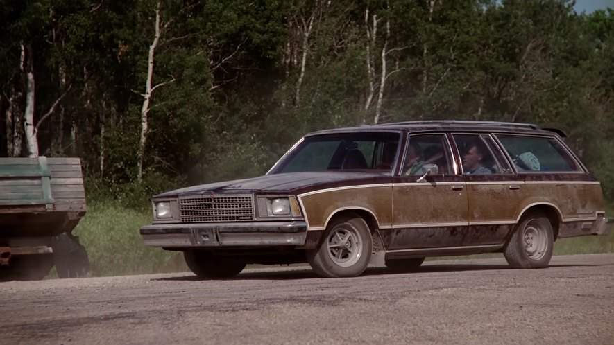 1979 Chevrolet Malibu Wagon in Trucks