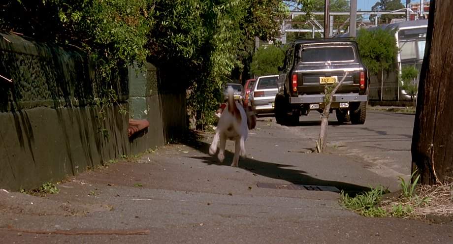 International Harvester Scout II