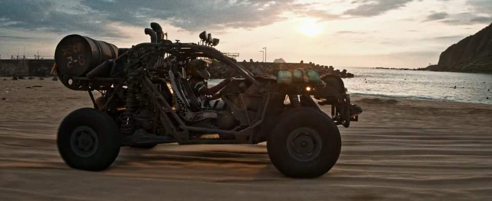 Custom Made Buggy