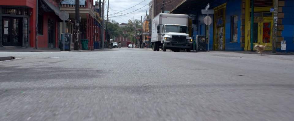 International TerraStar