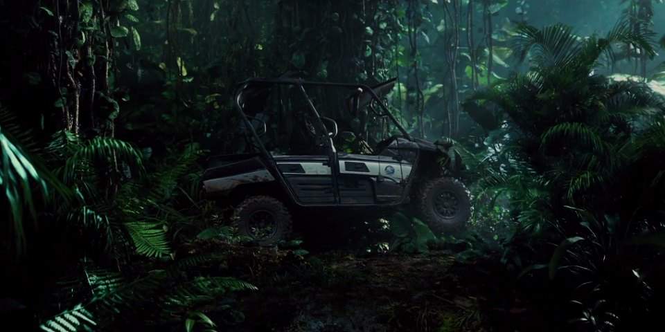 Kawasaki Teryx4