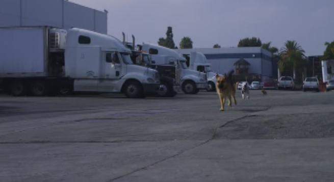 Freightliner Columbia