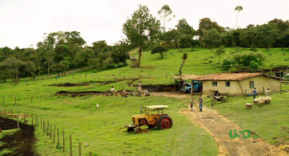 Minneapolis-Moline 445