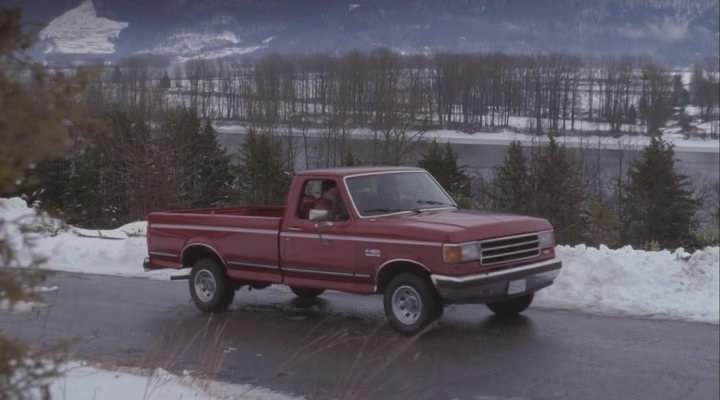 1989 Ford F-150 in Mega Cyclone