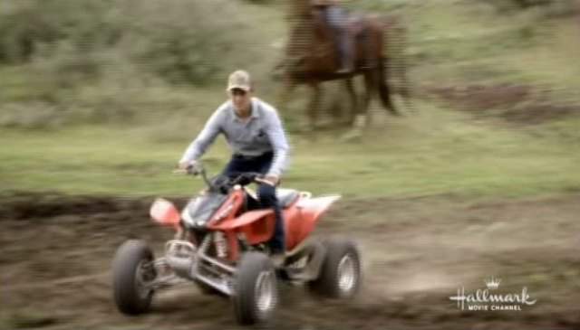 Honda TRX 250 EX
