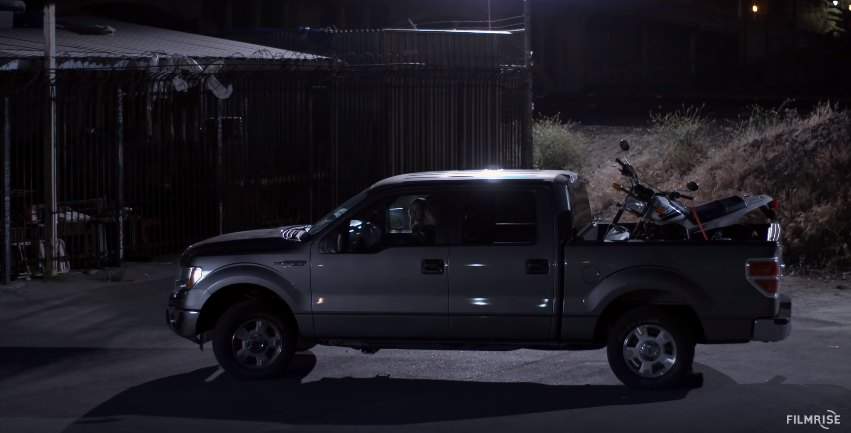 2009 Ford F-150 in Missing at 17