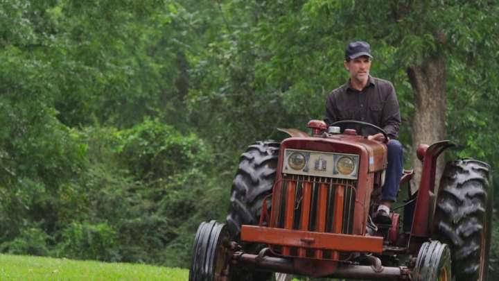 International Harvester 444