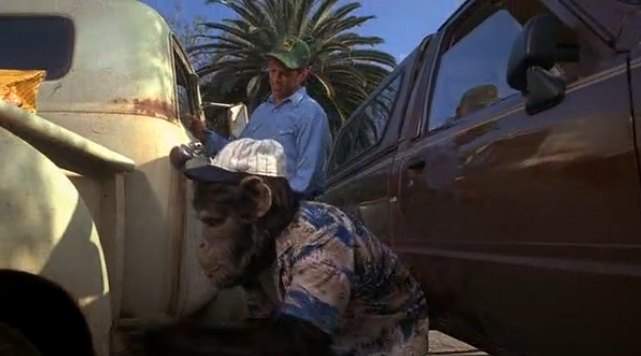 Toyota Truck