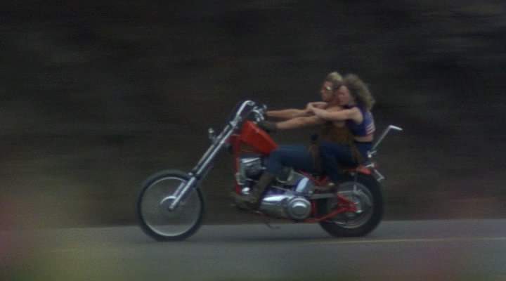 Harley-Davidson Panhead Chopper