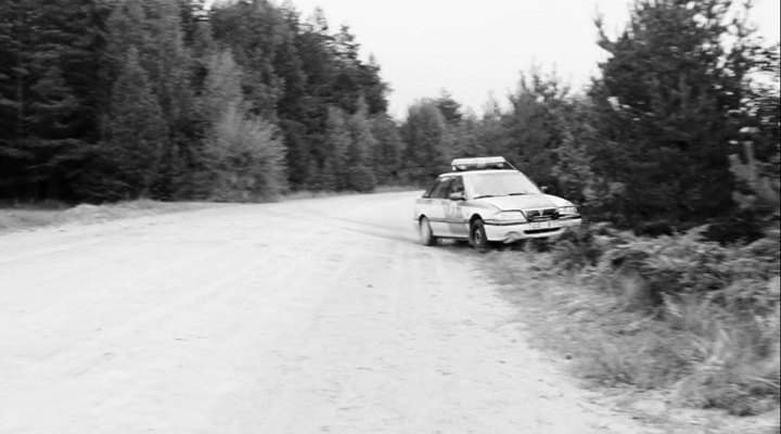 Rover 200 R8 in Kolka Cool