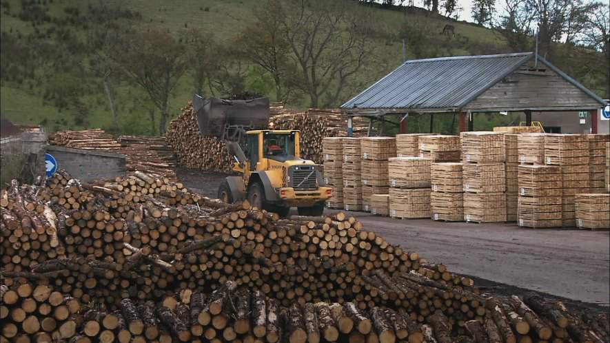 Volvo L 60 F