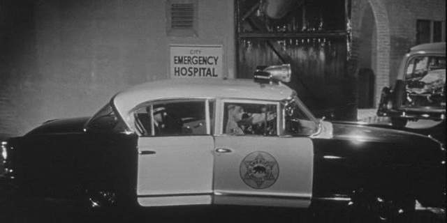 Nash Ambassador