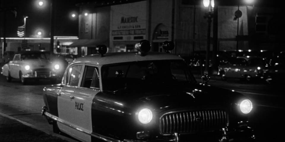Nash Ambassador