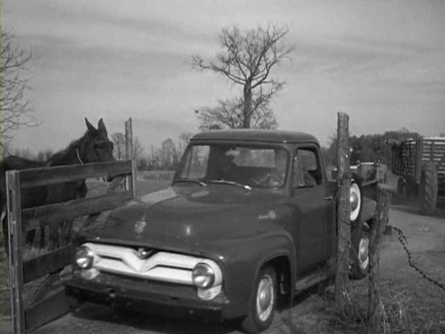 Ford F-100