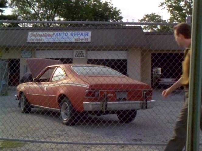 AMC Hornet