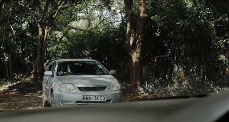 Toyota Corolla Fielder